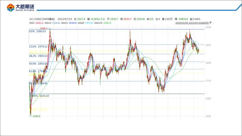 《政策不确定性大，金银继续震荡-20230711-大越期货-32页》 - 第6页预览图