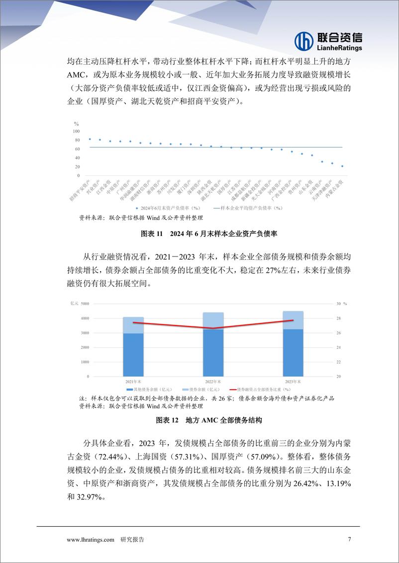 《2024年地方AMC回顾与展望系列之行业运行—— 规模趋稳杠杆降 利润收窄分化显》 - 第7页预览图