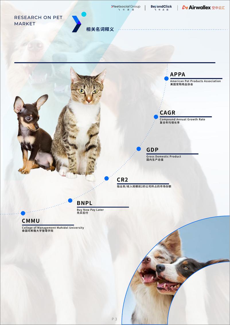 《飞书深诺：2022全球宠物市场白皮书》 - 第7页预览图