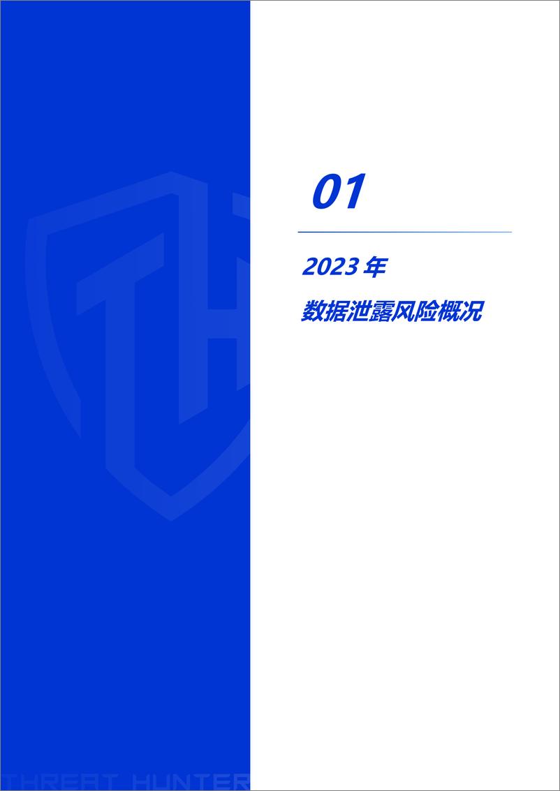 威胁猎人《2023年数据泄露风险年度报告》 - 第5页预览图