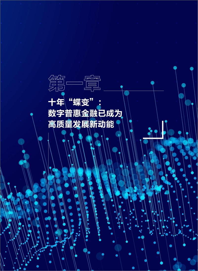 《2024中国数字普惠金融发展报告》 - 第5页预览图