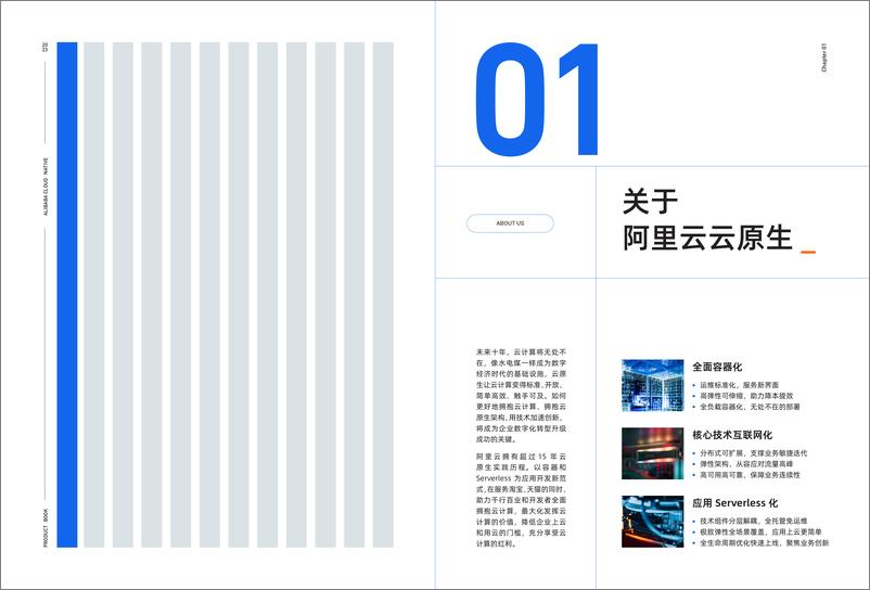 《云原生应用平台产品手册-阿里云》 - 第3页预览图