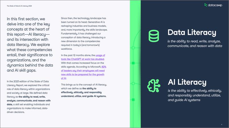《2024年数据与AI素养报告_英文版_-DataCamp》 - 第5页预览图