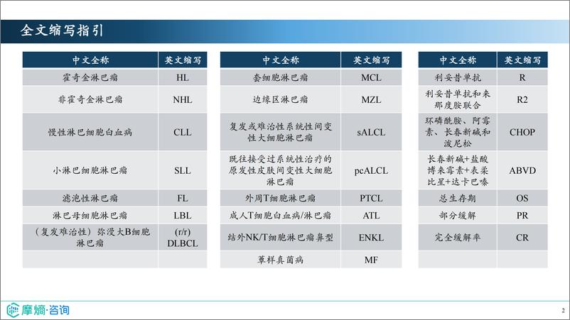 《摩熵咨询_2024年市场研究专题报告四——淋巴瘤药物》 - 第2页预览图