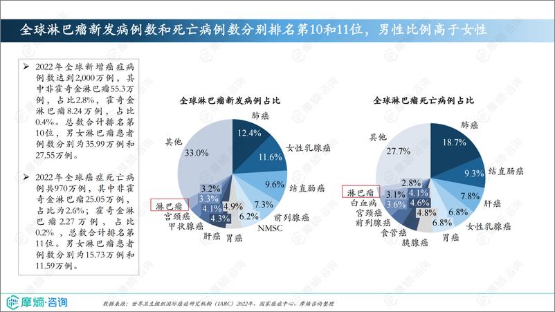 《摩熵咨询_2024年市场研究专题报告四——淋巴瘤药物》 - 第5页预览图