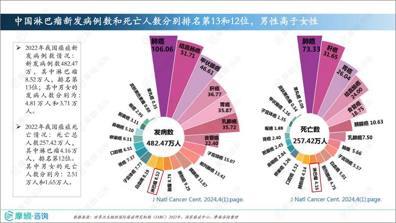 《摩熵咨询_2024年市场研究专题报告四——淋巴瘤药物》 - 第6页预览图