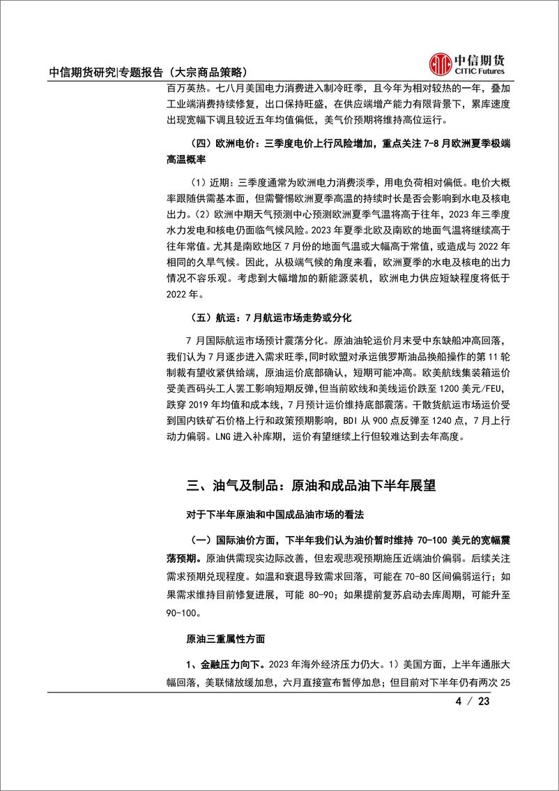 《大宗商品月度论坛（2023年6月期）会议纪要-20230707-中信期货-23页》 - 第5页预览图