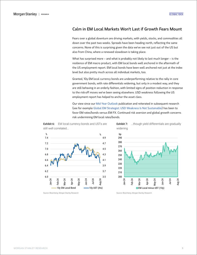 《Morgan Stanley Fixed-Global Macro Strategist Free Fallin-109629329》 - 第5页预览图