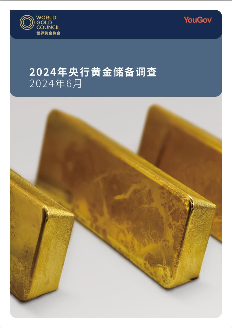 《央行黄金储备调查2024年6月-35页》 - 第1页预览图