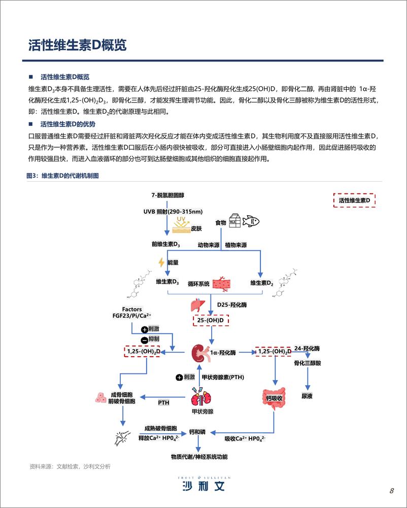 《活性维生素D（骨化醇）产业现状与未来发展报告-沙利文》 - 第8页预览图