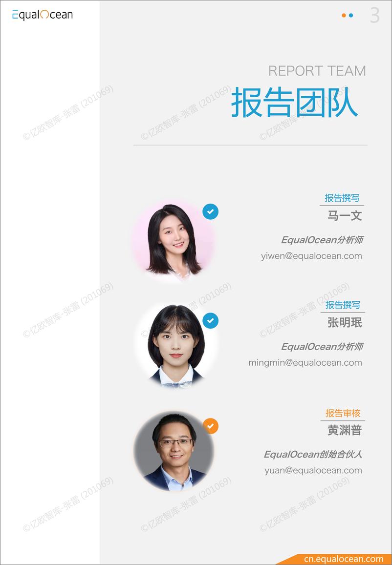 《2023俄罗斯电商市场研究报告-37页》 - 第3页预览图
