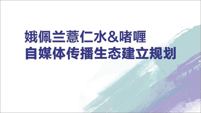 《薏仁水&啫喱自媒体传播生态建立规划》 - 第1页预览图