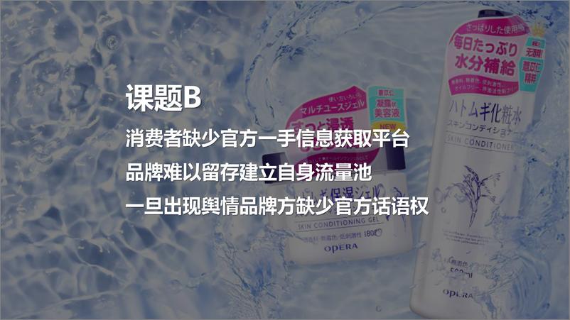 《薏仁水&啫喱自媒体传播生态建立规划》 - 第7页预览图