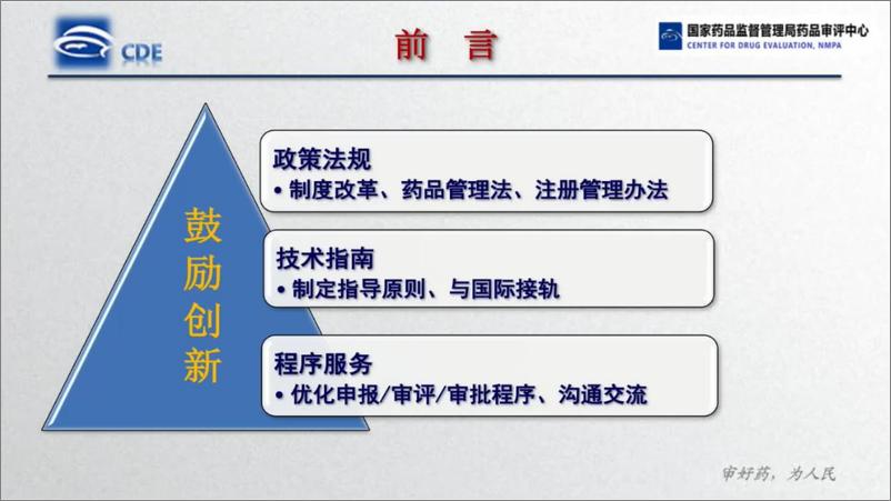 《国家药监局_抗肿瘤药药学审评中的共性问题》 - 第2页预览图