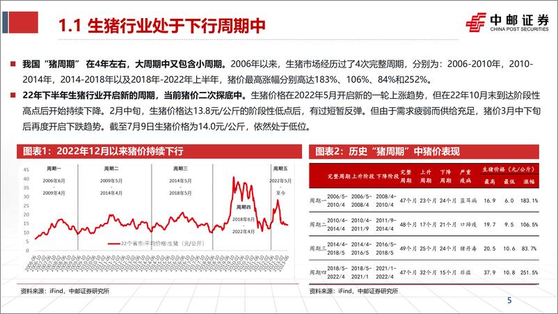 《农林牧渔行业2023年中期策略报告：猪周期磨底中，鸡周期兑现进行时-20230711-中邮证券-28页》 - 第6页预览图