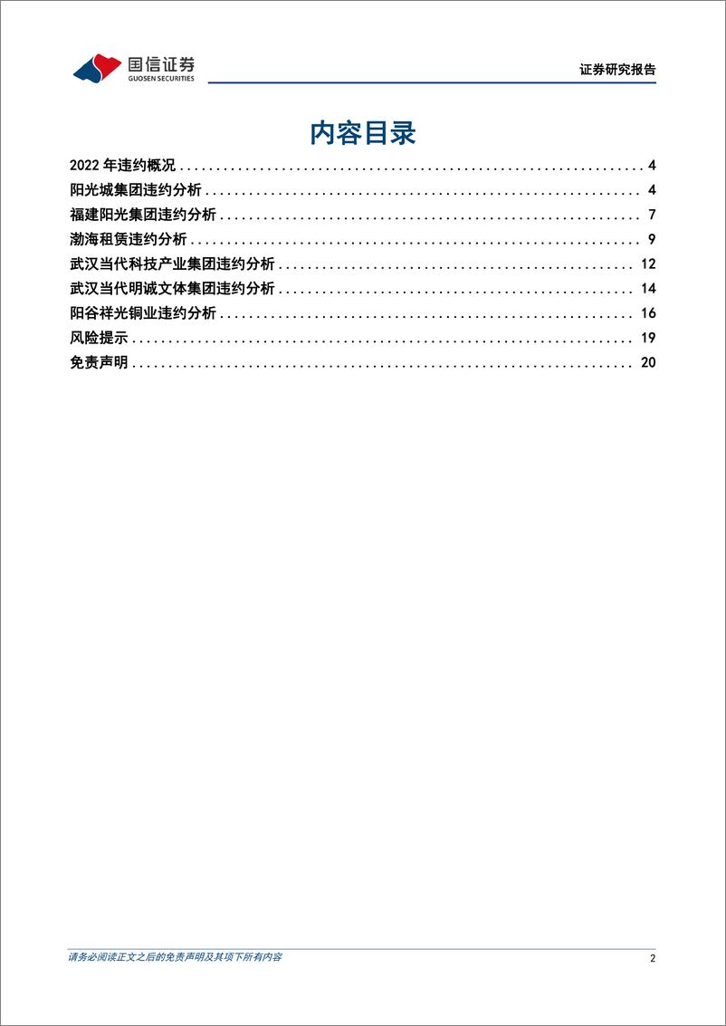 《固定收益专题报告：2022年债券违约发行人全梳理-20220515-国信证券-21页》 - 第3页预览图