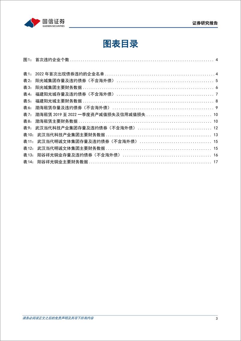 《固定收益专题报告：2022年债券违约发行人全梳理-20220515-国信证券-21页》 - 第4页预览图