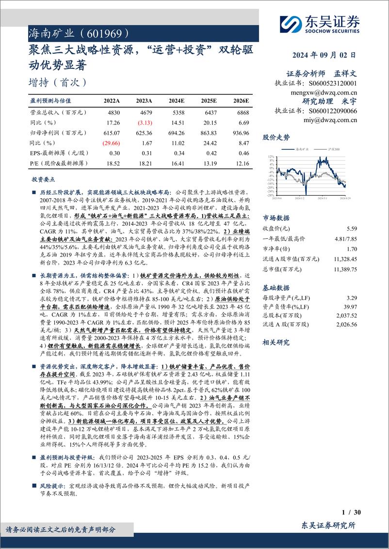 《海南矿业(601969)聚焦三大战略性资源，“运营%2b投资”双轮驱动优势显著-240902-东吴证券-30页》 - 第1页预览图