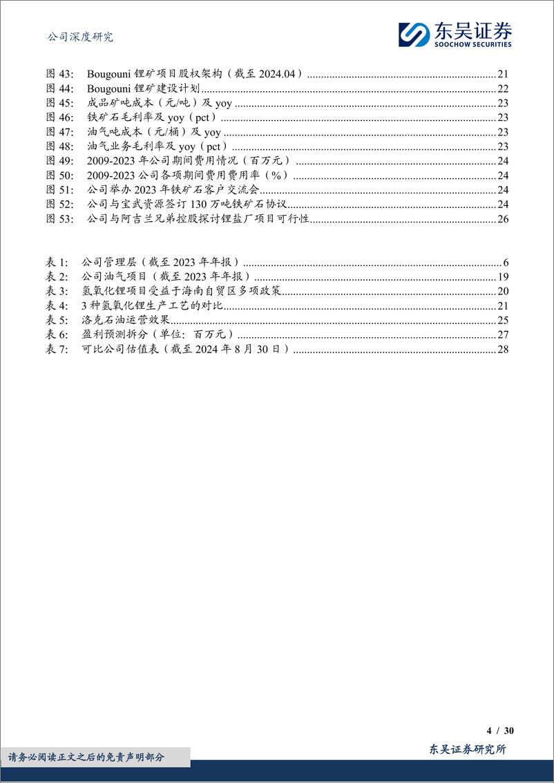 《海南矿业(601969)聚焦三大战略性资源，“运营%2b投资”双轮驱动优势显著-240902-东吴证券-30页》 - 第4页预览图