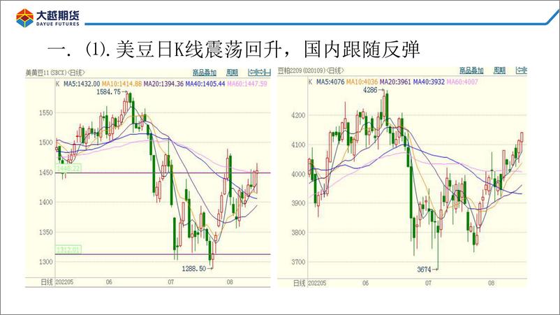 《豆粕进入做空区间：未来一个月或牛熊转换-20220816-大越期货-36页》 - 第4页预览图