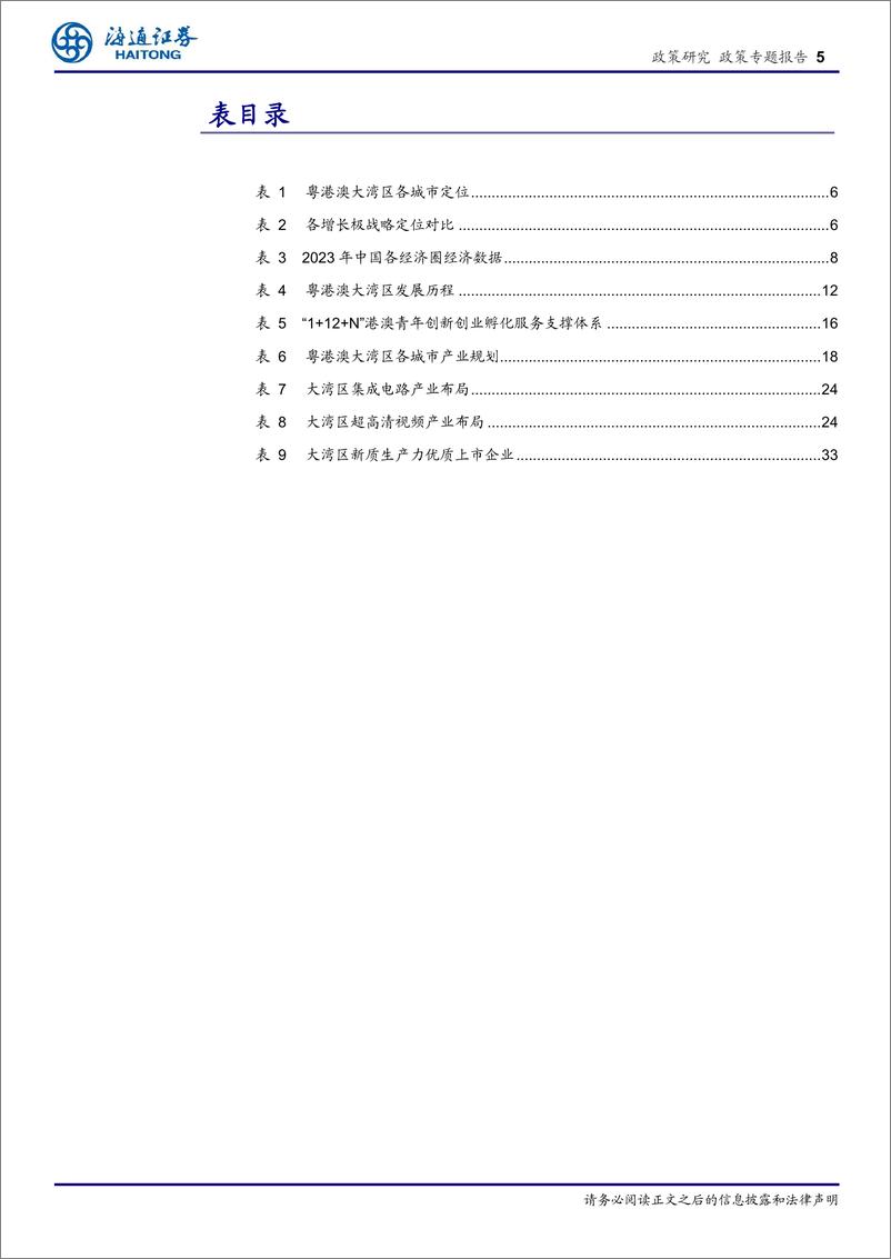 《区域经济专题报告(3)：大湾区全球竞争力凸显，国际化引领新质生产力-240617-海通证券-36页》 - 第5页预览图