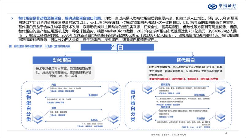 《食品饮料行业维生物蛋白专题：蛋白新能源，探究微生物蛋白的投资机遇-240523-华福证券-26页》 - 第4页预览图