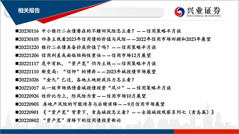 《信用市场2月展望：未来信用债修复行情会延续么？-20230130-兴业证券-75页》 - 第6页预览图