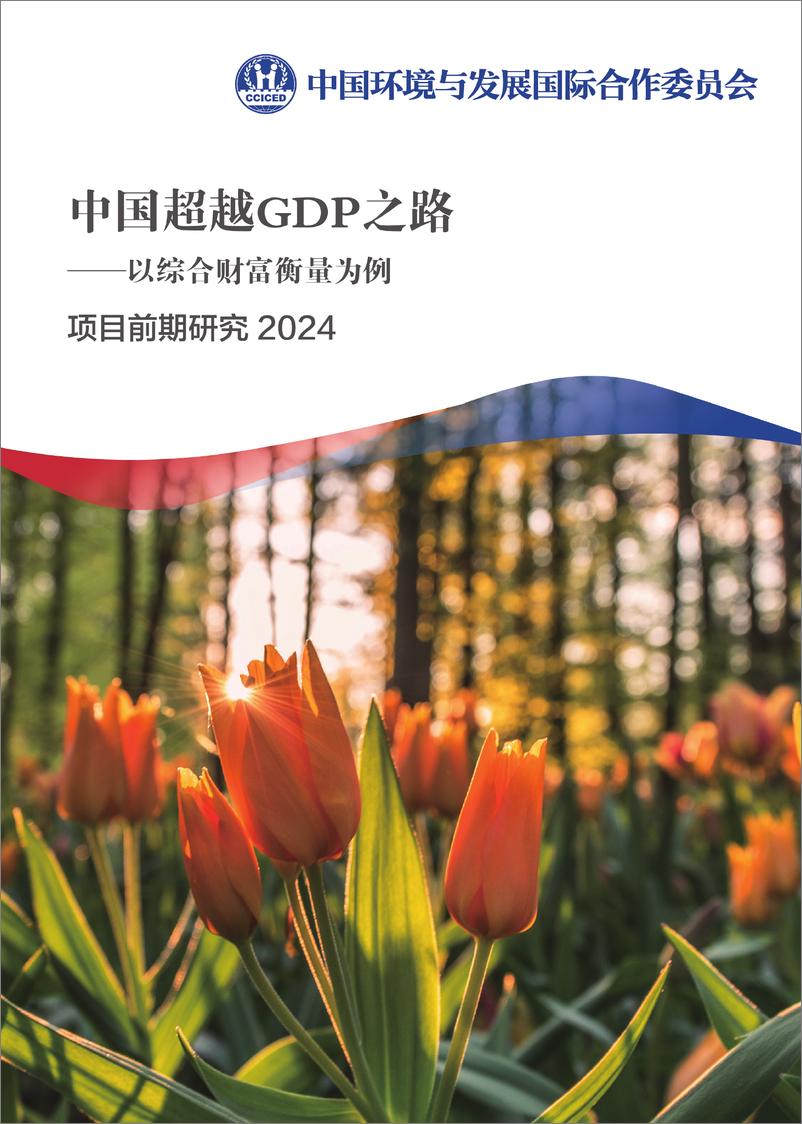 《2023-2024项目前期研究报告-中国超越GDP之路-CCICED》 - 第1页预览图