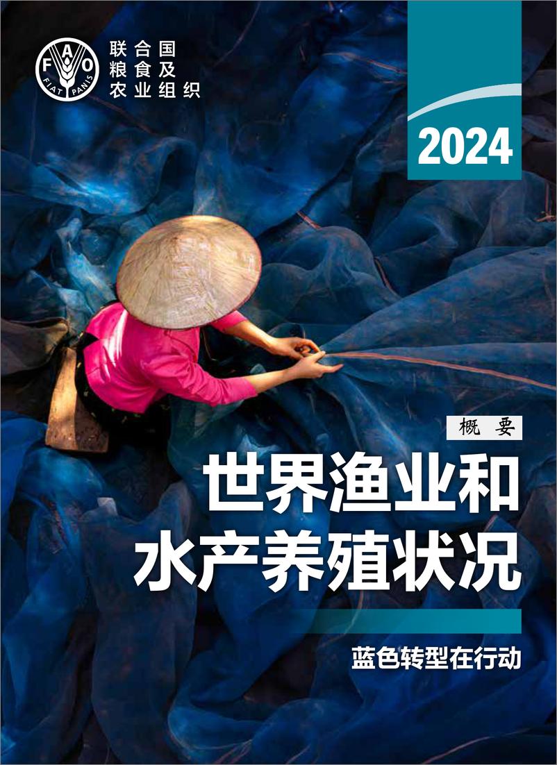 《2024年世界渔业和水产养殖状况报告-蓝色转型在行动概要版-联合国粮农组织》 - 第1页预览图