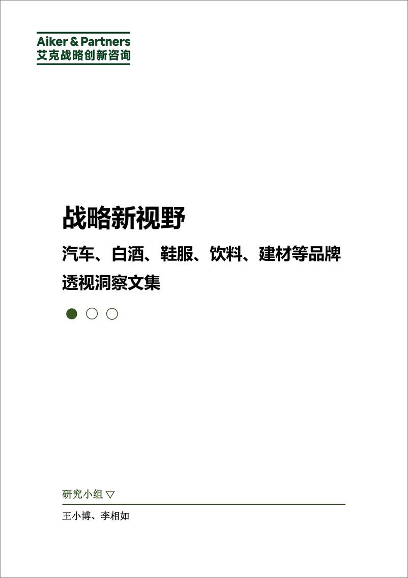 《战略新视野_汽车_白酒_鞋服_饮料_建材等品牌透视洞察文集》 - 第1页预览图