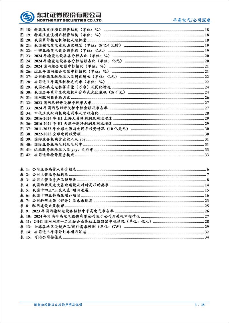 《平高电气(600312)高压开关优质企业，四大板块驱动业绩高增-241230-东北证券-38页》 - 第3页预览图