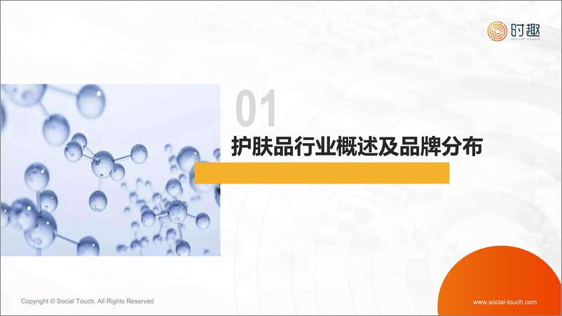 《护肤品行业及营销趋势报告（自然堂、百雀羚、薇诺娜、珀莱雅、玉泽、佰草集、可复美、赫莲娜、科颜氏、绽妍、丝塔芙）-时趣》 - 第3页预览图