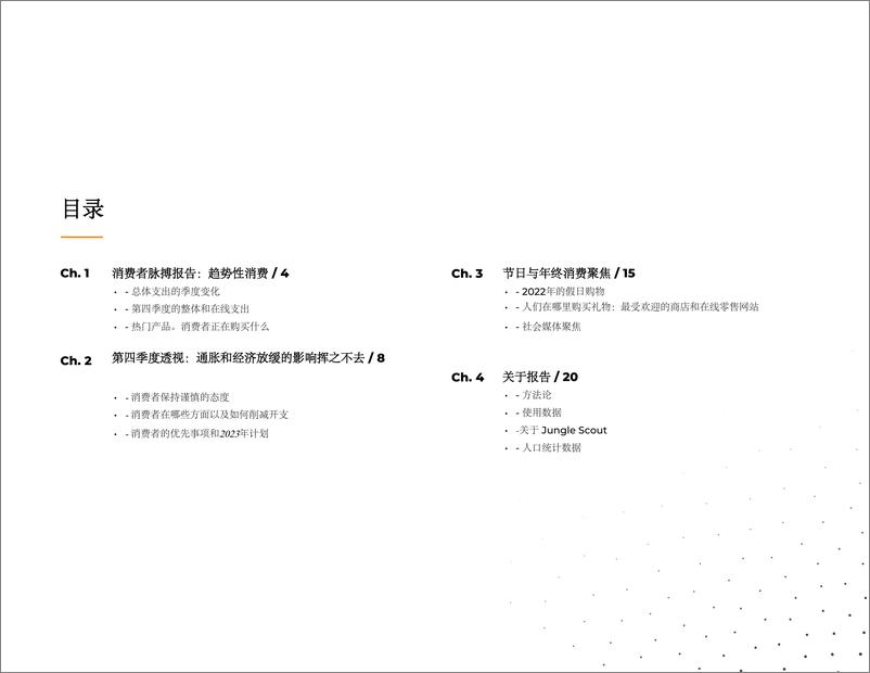 《2022Q4消费者趋势研究报告-JungleScout-22页》 - 第4页预览图