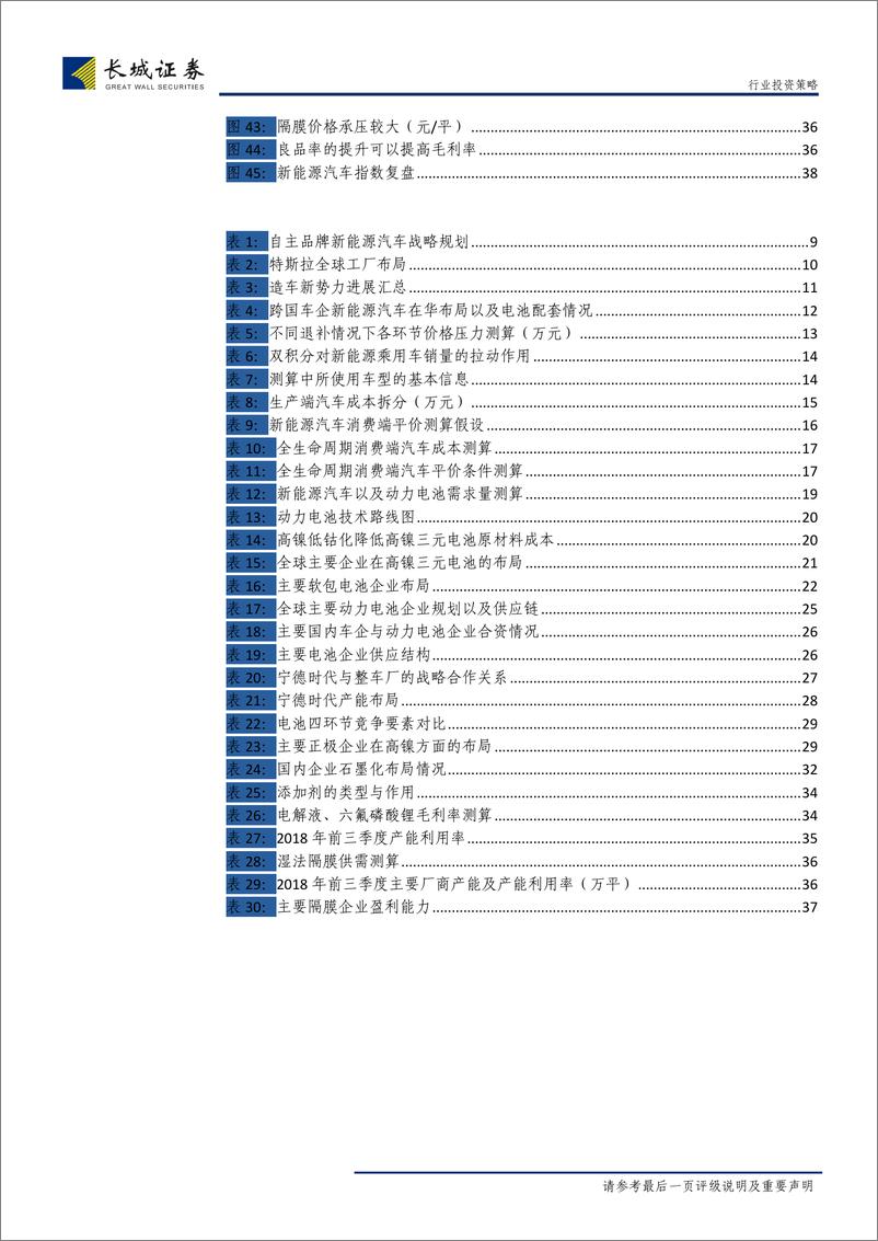 《新能源汽车行业2019年策略报告：全球化下的格局优化和结构变迁-20190108-长城证券-40页》 - 第6页预览图