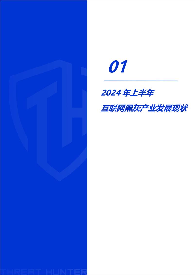 威胁猎人《2024年上半年互联网黑灰产研究报告》-68页 - 第6页预览图