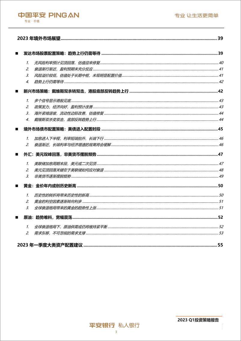 《私人银行2023年第一季度投资策略报告：草木蔓发，春山可望-20221212-平安银行-58页》 - 第5页预览图