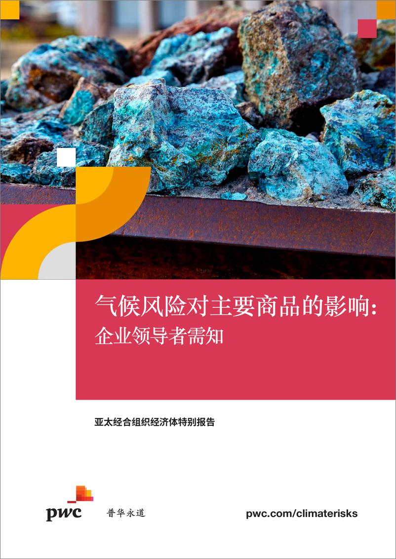 《2024气候风险对主要商品的影响企业领导者需知研究报告-普华永道》 - 第1页预览图