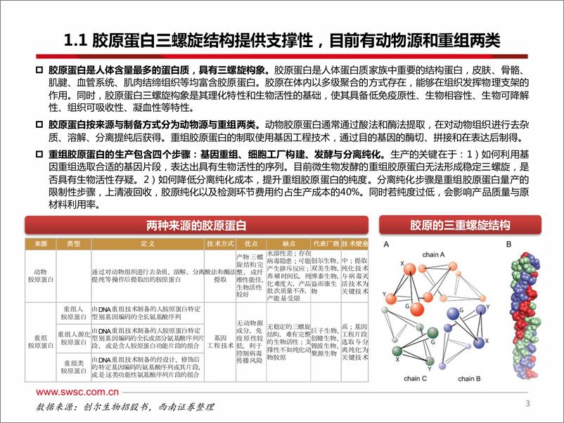 《医美行业专题系列三之胶原蛋白-240605-西南证券-44页》 - 第4页预览图