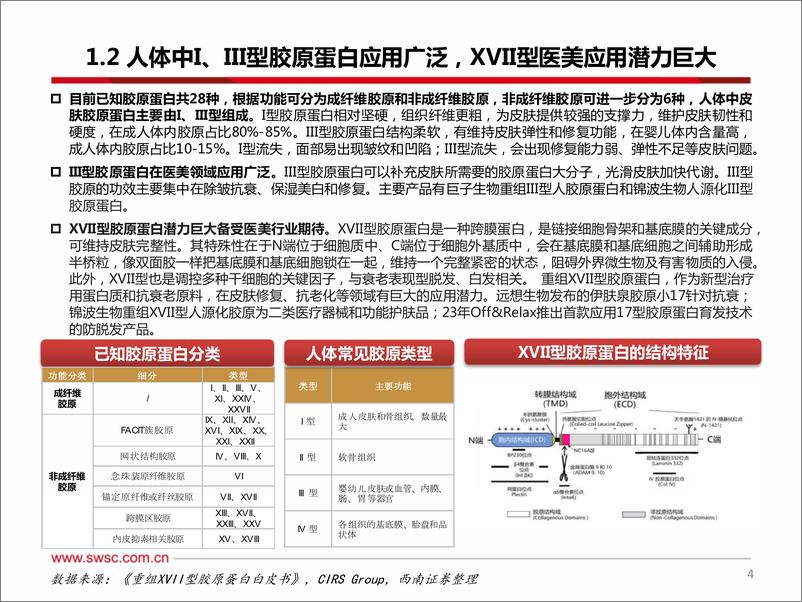 《医美行业专题系列三之胶原蛋白-240605-西南证券-44页》 - 第5页预览图