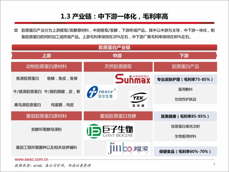 《医美行业专题系列三之胶原蛋白-240605-西南证券-44页》 - 第6页预览图