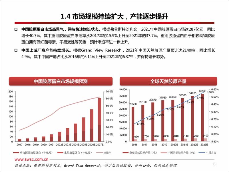 《医美行业专题系列三之胶原蛋白-240605-西南证券-44页》 - 第7页预览图