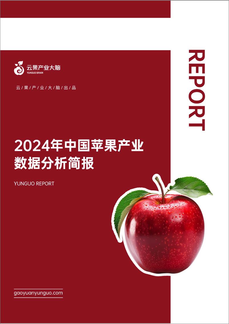 《2024年中国苹果产业数据分析报告-23页》 - 第1页预览图