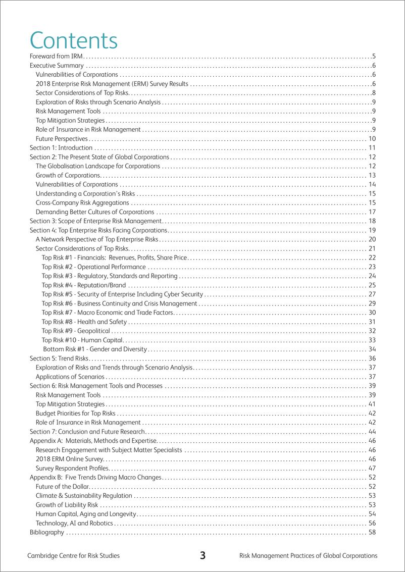 《剑桥风险研究中心_2024年全球企业的风险管理视角报告_英文版_》 - 第3页预览图