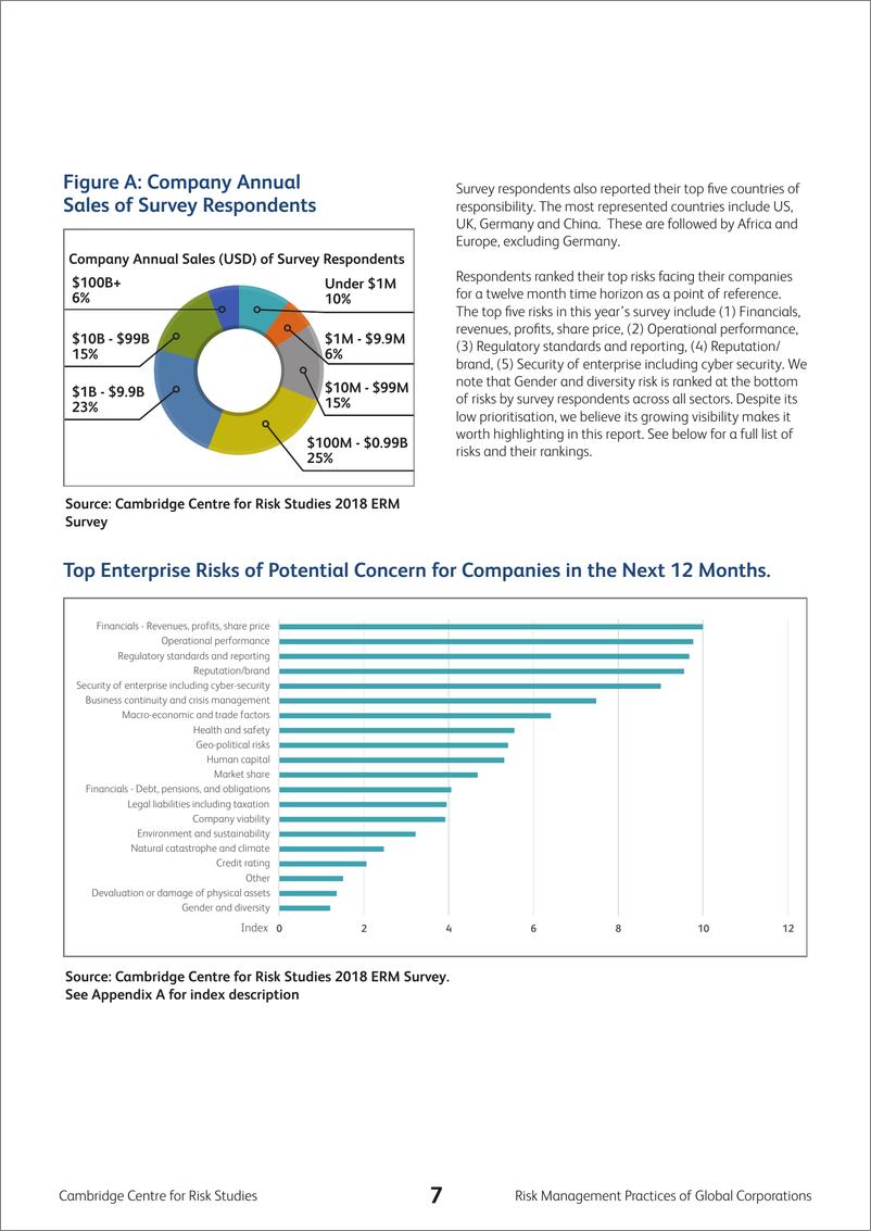 《剑桥风险研究中心_2024年全球企业的风险管理视角报告_英文版_》 - 第7页预览图