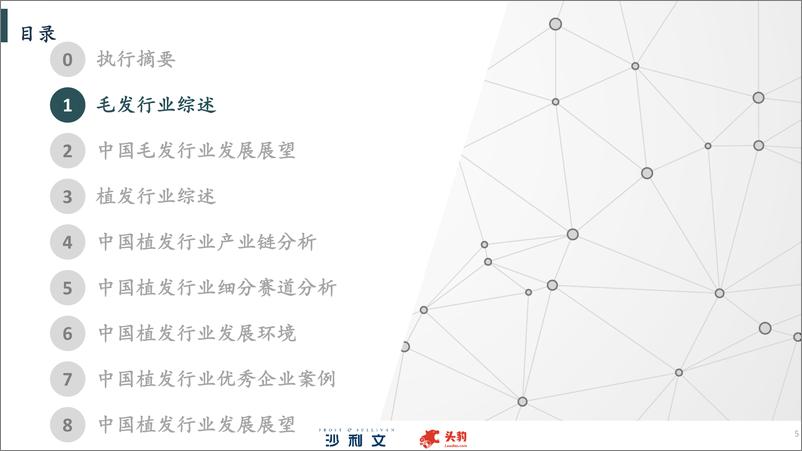 《2024年中国毛发健康服务行业研究-沙利文&头豹-2024.11-55页》 - 第5页预览图