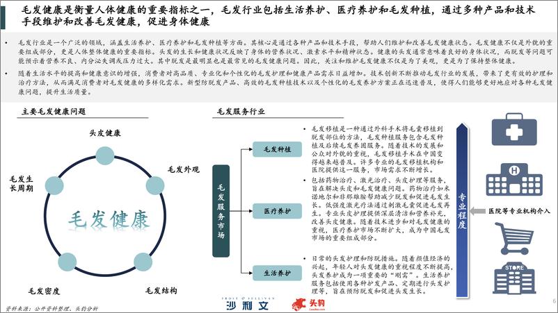 《2024年中国毛发健康服务行业研究-沙利文&头豹-2024.11-55页》 - 第6页预览图