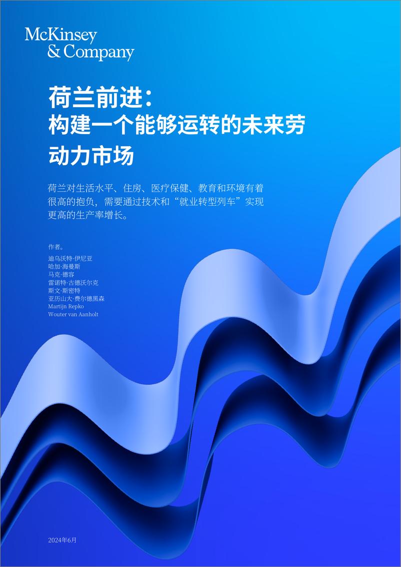 《2030年荷兰劳动力市场趋势及应对策略报告_英_-麦肯锡》 - 第1页预览图