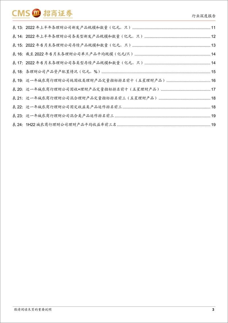 《银行业1H22城农商行理财公司产品评价与回顾：势头正劲，产品线日益丰富-20220925-招商证券-20页》 - 第4页预览图