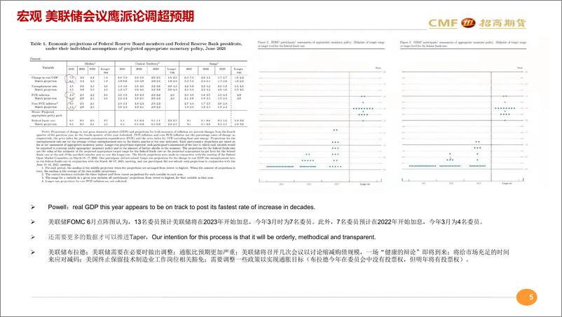 《复苏放缓流动性收紧，铜逢高抛空-20210620-招商期货-27页》 - 第6页预览图