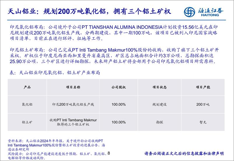 《有色金属行业：崛起中的印尼氧化铝产业-241118-海通证券-31页》 - 第8页预览图